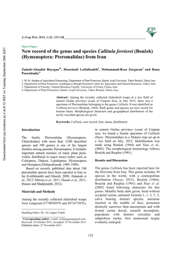 New Record of the Genus and Species Callitula Ferrierei (Bouček) (Hymenoptera: Pteromalidae) from Iran