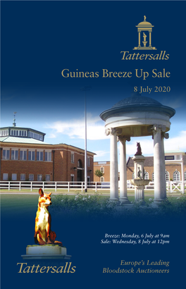 Guineas Breeze up Sale 2020