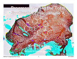 Aplidium Haouarianum Collected Off Tarifa Island (Cádiz Spain)