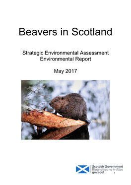 Beavers in Scotland
