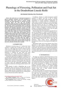 Phenology of Flowering, Pollination and Fruit Set in the Dendrobium Lineale Rolfe