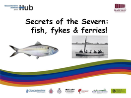 Secrets of the Severn: Fish, Fykes & Ferries!