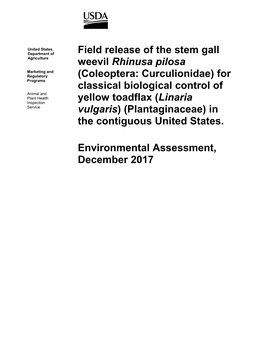 Field Release of the Stem Gall Weevil Rhinusa Pilosa