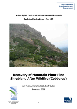 Recovery of Mountain Plum-Pine Shrubland After Wildfire (Cobberas)