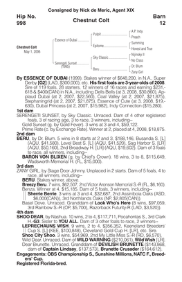 Chestnut Colt Barn 12 Hip No