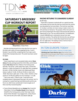 Saturday=S Breeders= Cup Workout Report