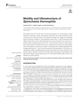 Motility and Ultrastructure of Spirochaeta Thermophila