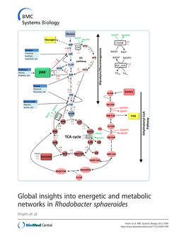 Global Insights Into Energetic and Metabolic Networks in Rhodobacter Sphaeroides Imam Et Al