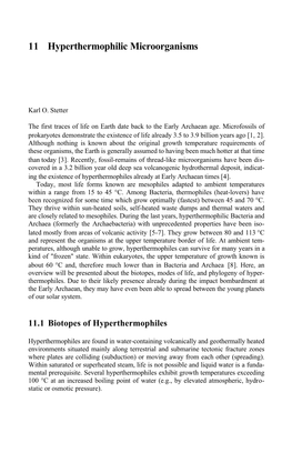 Hyperthermophilic Microorganisms