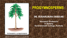 Progymnosperms