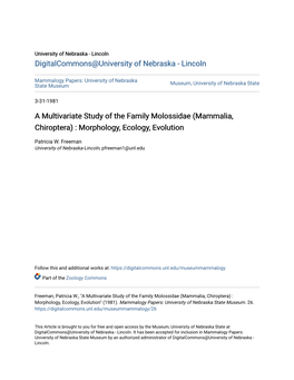 A Multivariate Study of the Family Molossidae (Mammalia, Chiroptera) : Morphology, Ecology, Evolution