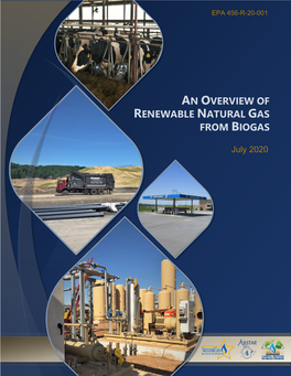 An Overview of Renewable Natural Gas from Biogas