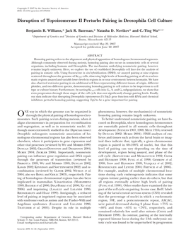 Disruption of Topoisomerase II Perturbs Pairing in Drosophila Cell Culture