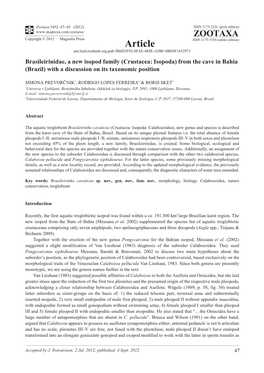 Brasileirinidae, a New Isopod Family (Crustacea: Isopoda) from the Cave in Bahia (Brazil) with a Discussion on Its Taxonomic Position