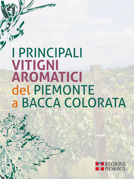 Vitigni Aromatici a Bacca Colorata: Brachetto, Brachetto Del Roero, Brachetto Migliardi, Malvasia Di Schierano, Malvasia Nera Lunga, Moscato Nero Di Acqui E Ruché