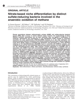 Nitrate-Based Niche Differentiation by Distinct Sulfate-Reducing Bacteria Involved in the Anaerobic Oxidation of Methane