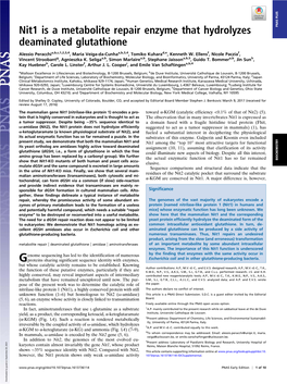 Nit1 Is a Metabolite Repair Enzyme That Hydrolyzes Deaminated Glutathione