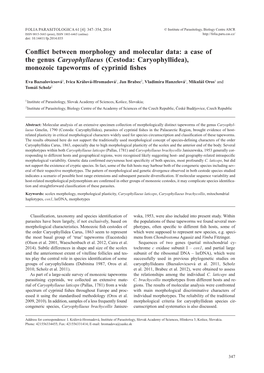 A Case of the Genus Caryophyllaeus (Cestoda: Caryophyllidea), Monozoic Tapeworms of Cyprinid Fishes