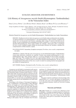 Life History of Aneugmenus Merida Smith (Hymenoptera: Tenthredinidae) in the Venezuelan Andes