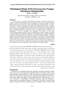 Histological Study of the Discomycetes Fungus Cheilymina Theleboloides Rajaa A