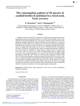 The Consumption Pattern of 28 Species of Carabid Beetles (Carabidae) to a Weed Seed, Viola Arvensis