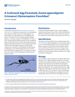 A Cockroach Egg Parasitoid, Evania Appendigaster (Linnaeus) (Hymenoptera: Evaniidae)1 Lionel A