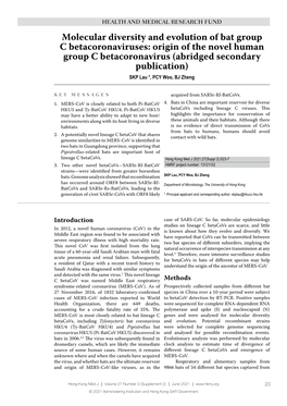 Molecular Diversity and Evolution of Bat Group C