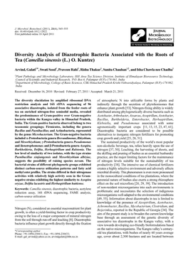 Diversity Analysis of Diazotrophic Bacteria Associated with the Roots of Tea (Camellia Sinensis (L.) O