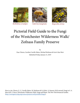Pictorial Field Guide to the Fungi of the Westchester Wilderness Walk/ Zofnass Family Preserve