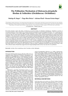 The Pollination Mechanism of Habenaria Pleiophylla Hoehne & Schlechter (Orchidaceae: Orchidinae)