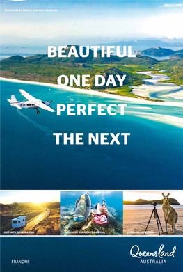 Beautiful One Day Perfect the Next