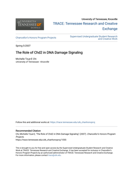 The Role of Chd2 in DNA Damage Signaling