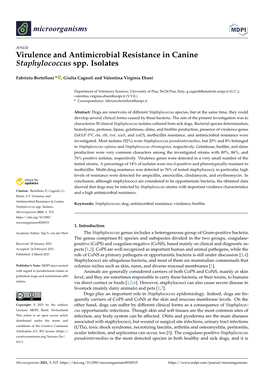 Virulence and Antimicrobial Resistance in Canine Staphylococcus Spp