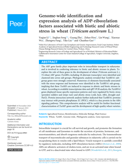 Genome-Wide Identification and Expression Analysis of ADP-Ribosylation Factors Associated with Biotic and Abiotic Stress in Wheat (Triticum Aestivum L.)