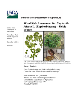 Weed Risk Assessment for Euphorbia Falcata L. (Euphorbiaceae)