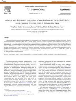 Isolation and Differential Expression of Two Isoforms of the ROBO2/Robo2