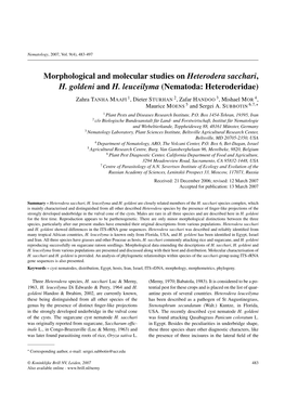 Morphological and Molecular Studies on Heterodera Sacchari, H. Goldeni and H. Leuceilyma (Nematoda: Heteroderidae)