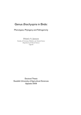 Genus Brachyspira in Birds