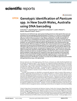 Genotypic Identification of Panicum Spp. in New South Wales, Australia Using DNA Barcoding