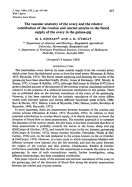 The Vascular Anatomy of the Ovary and the Relative Contribution of the Ovarian and Uterine Arteries to the Blood Supply of the Ovary in the Guinea-Pig M