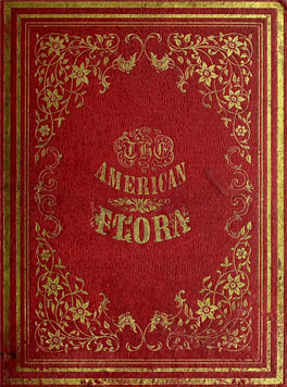 The American Flora, Or, History of Plants and Wild Flowers