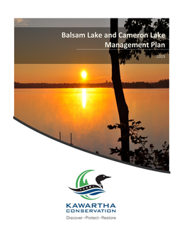 Balsam Lake and Cameron Lake Management Plan