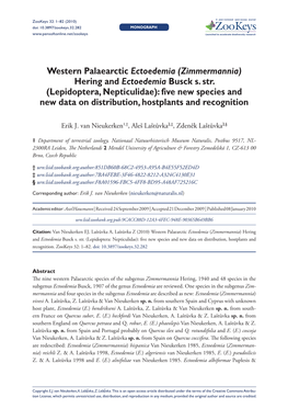 Western Palaearctic Ectoedemia (Zimmermannia) Hering and Ectoedemia Busck S