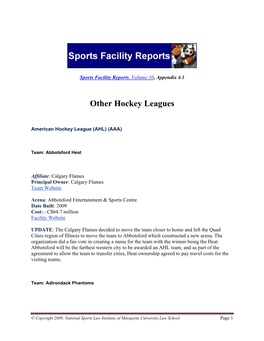 Other Hockey Leagues