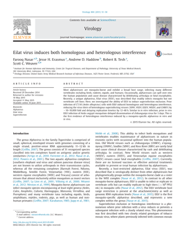 Eilat Virus Induces Both Homologous and Heterologous Interference