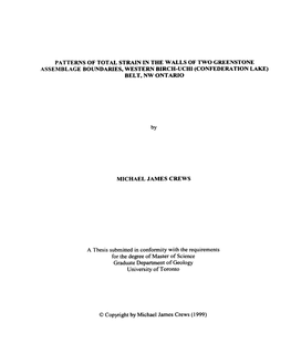 Patterns of Total Strain in the Walls of Two Greenstone Assemblage Boundaries, Western Birch-Uchi (Confederation Lake) Belt, Nwontario