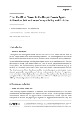 From the Olive Flower to the Drupe: Flower Types, Pollination, Self and Inter-Compatibility and Fruit Set