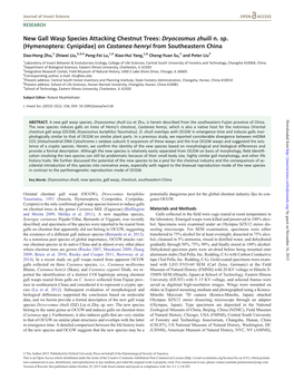 New Gall Wasp Species Attacking Chestnut Trees: Dryocosmus Zhuili N