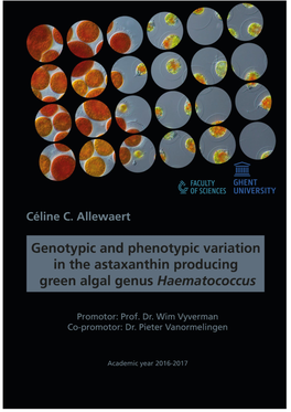 Genotypic and Phenotypic Variation in the Astaxanthin Producing Algal