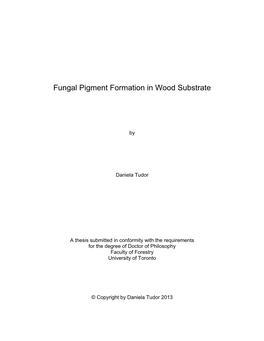 Fungal Pigment Formation in Wood Substrate